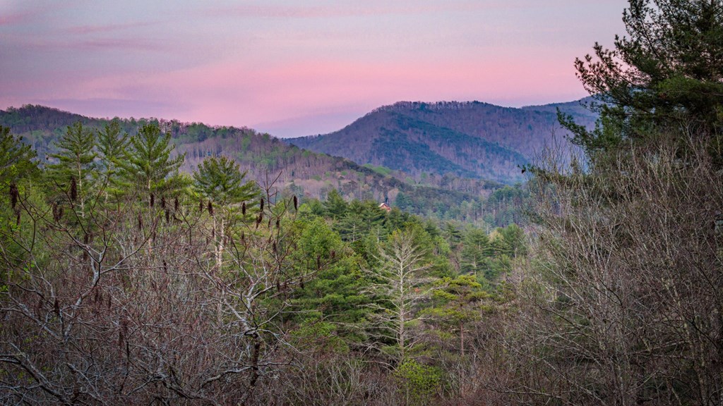 429373 Blue Ridge Residential