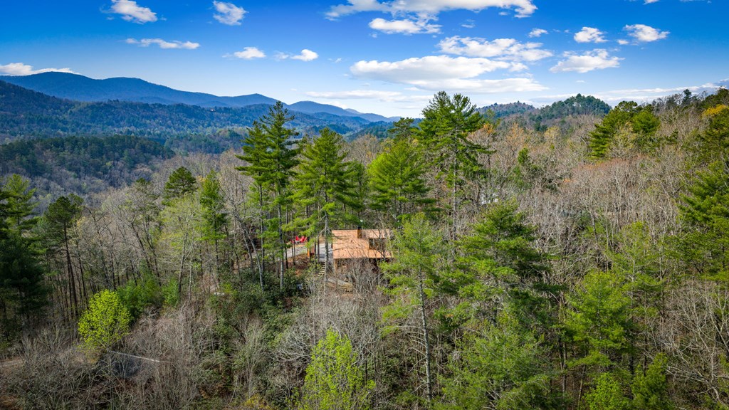 429373 Blue Ridge Residential