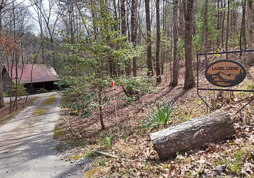 429377 Blue Ridge Residential