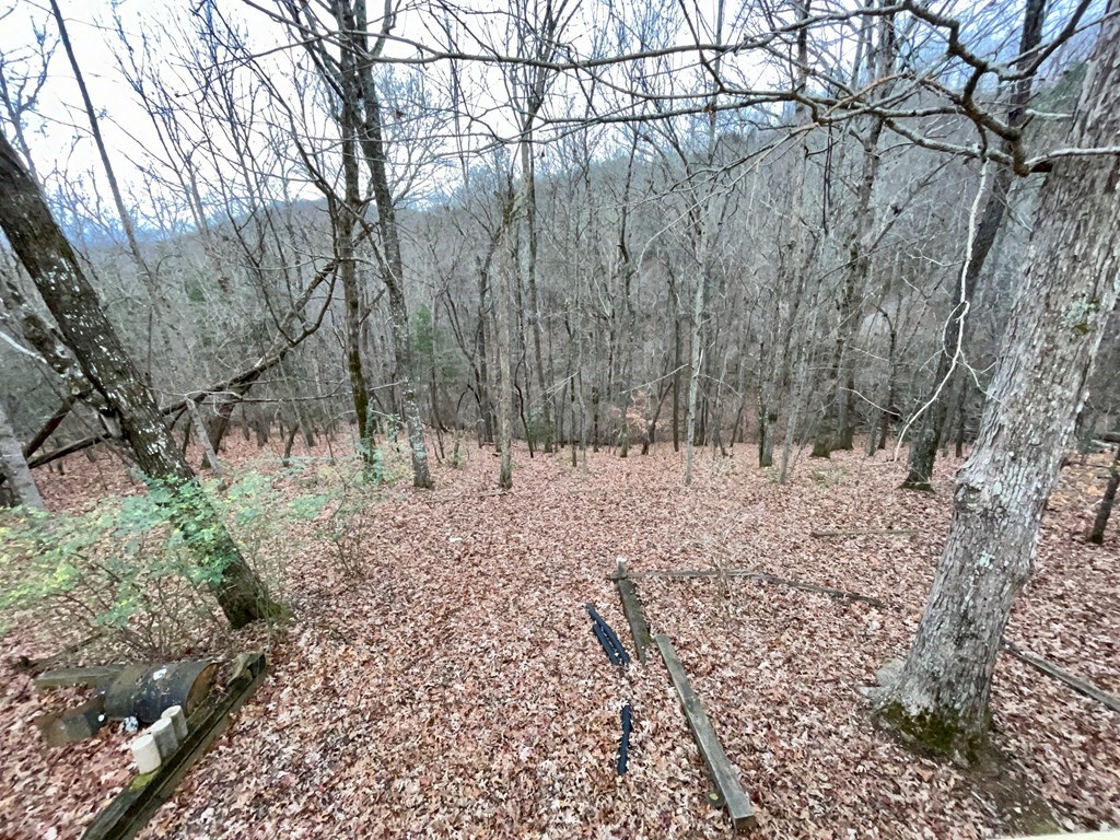 429386 Hayesville Residential