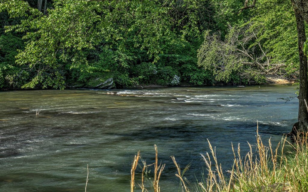 429393 Ellijay Residential