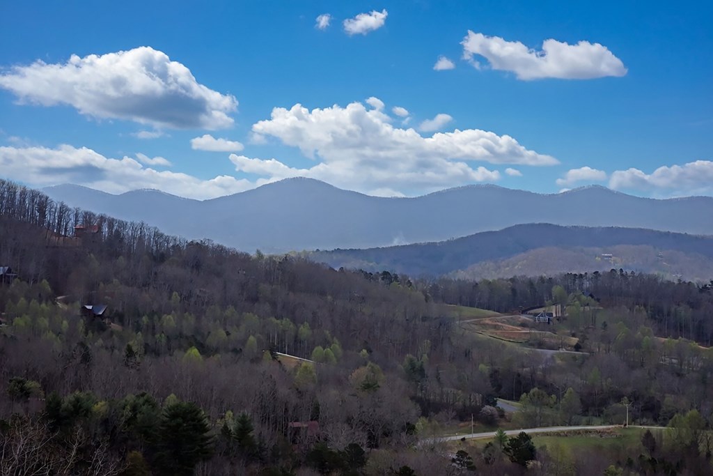 429397 Morganton Residential