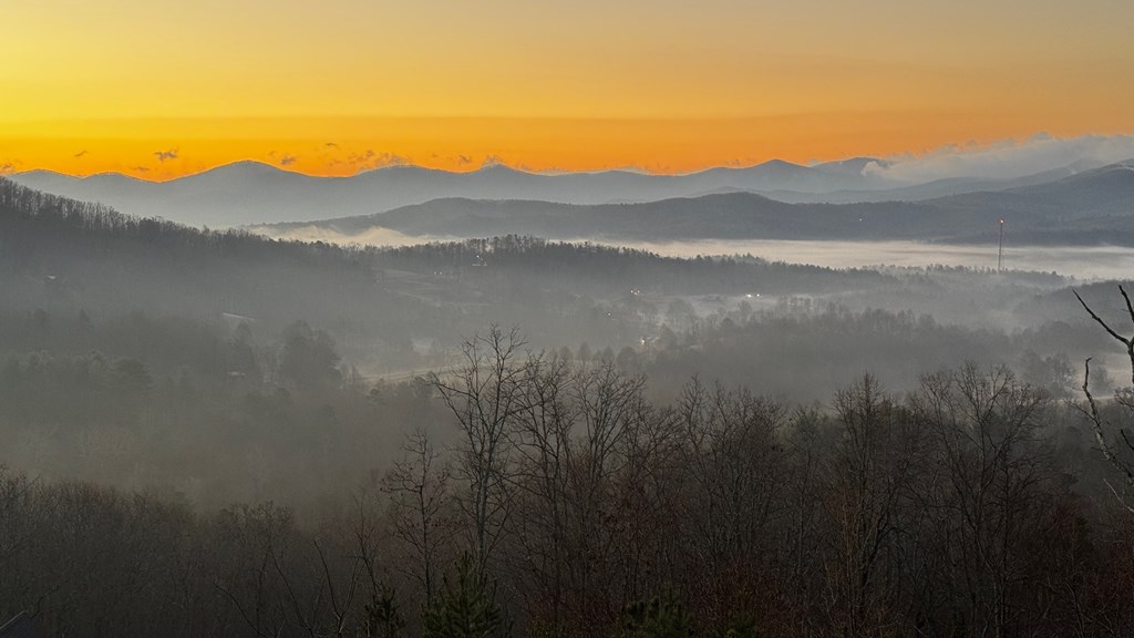 429397 Morganton Residential