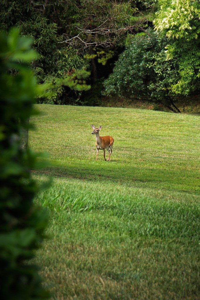 429400 Copperhill Residential