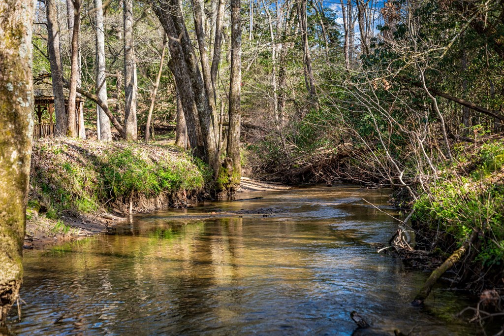 429401 Blue Ridge Residential