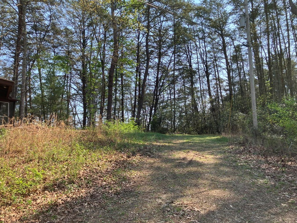 429407 Murphy Residential