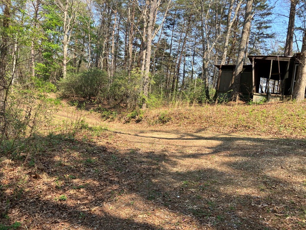 429407 Murphy Residential