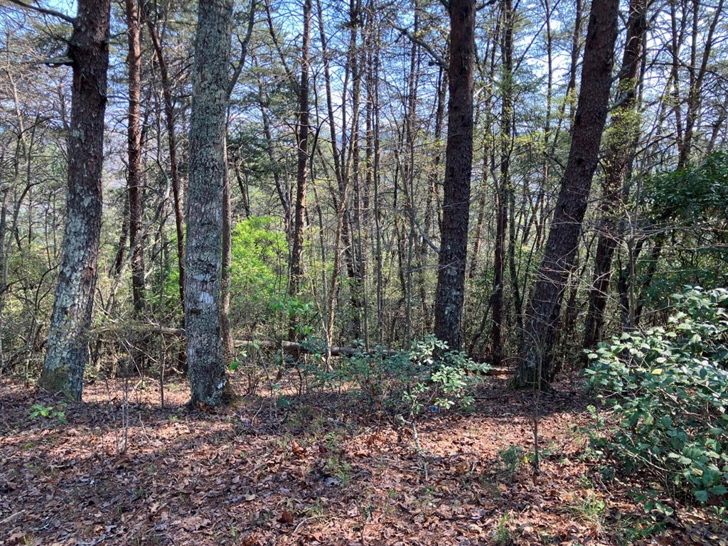 429407 Murphy Residential