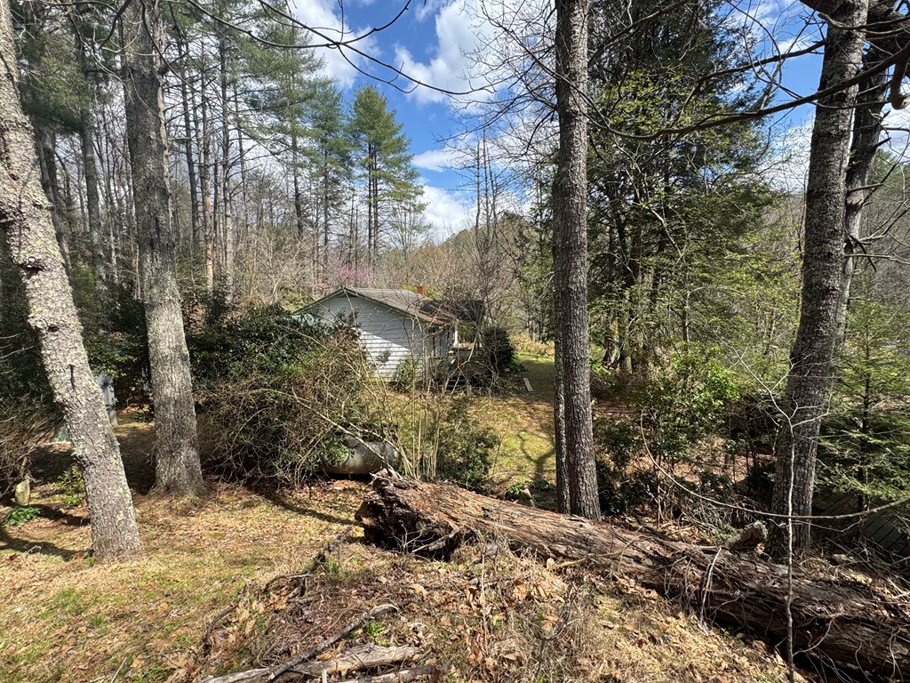 429409 Brasstown Residential