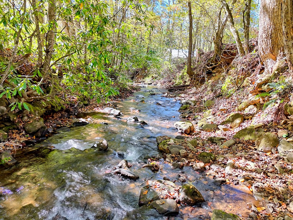 429410 Hayesville Residential