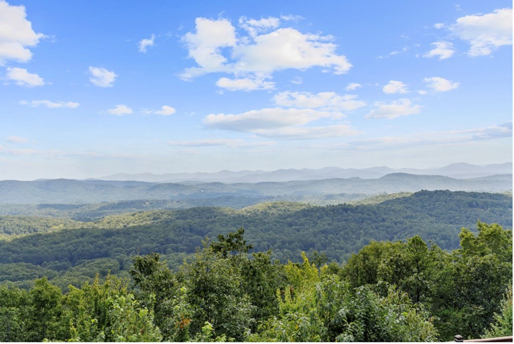 429416 Mineral Bluff Residential