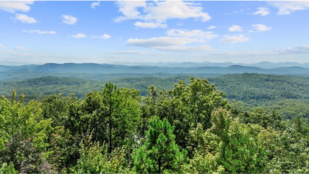 429416 Mineral Bluff Residential