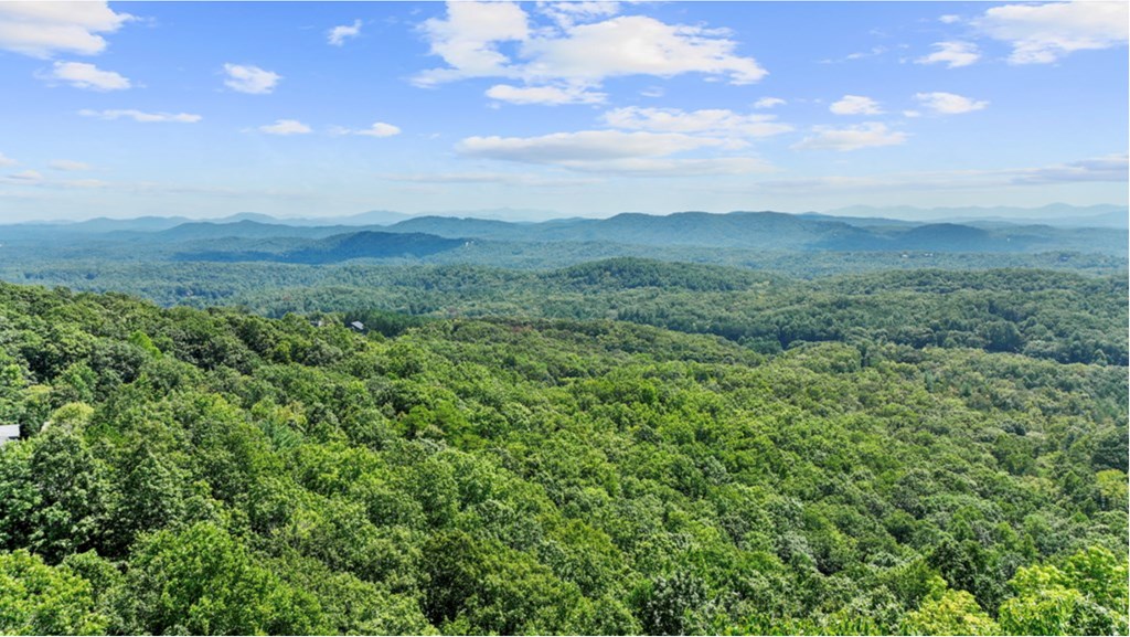 429416 Mineral Bluff Residential