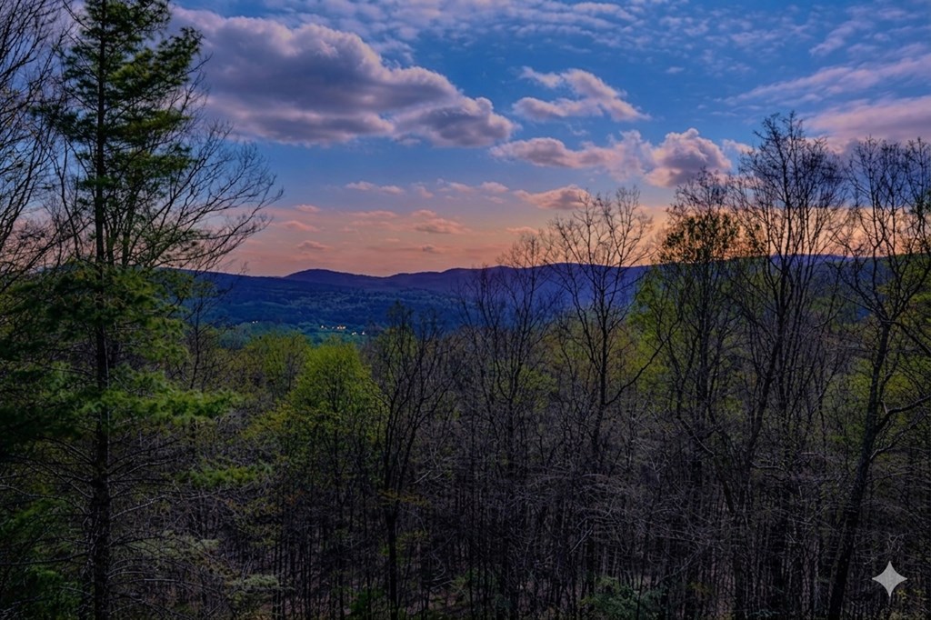 429422 Ellijay Residential