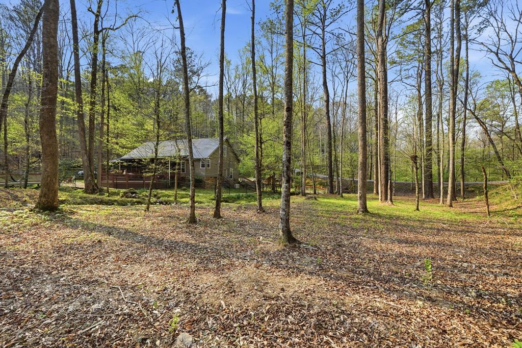 429426 Ellijay Residential