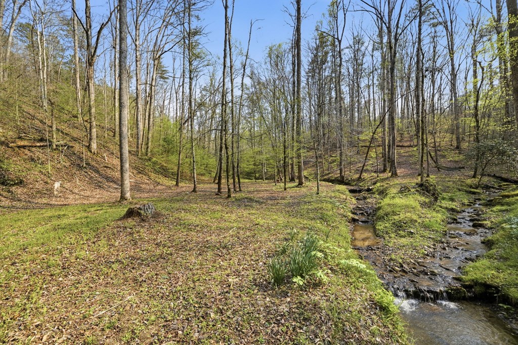 429426 Ellijay Residential