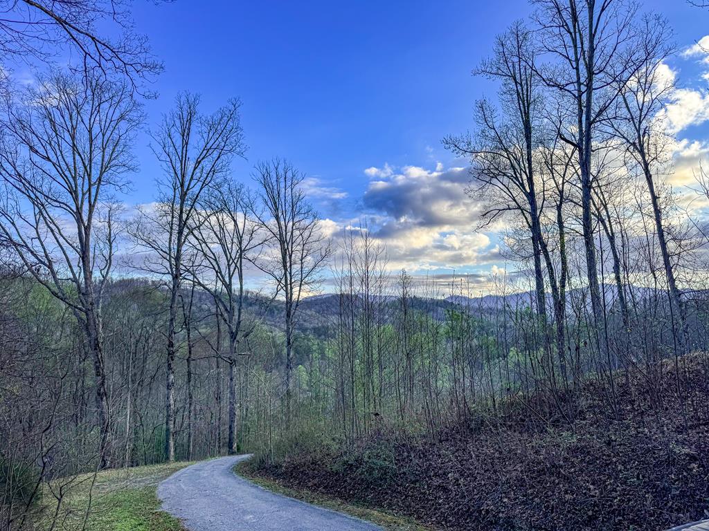 429432 Hayesville Residential