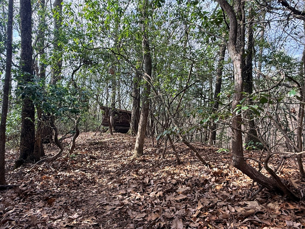 429433 Franklin Residential