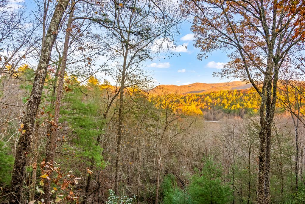 429440 Blue Ridge Residential