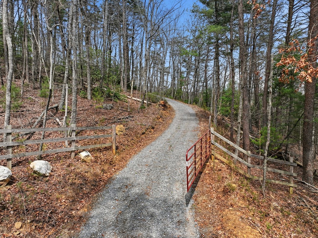 429455 Ellijay Residential