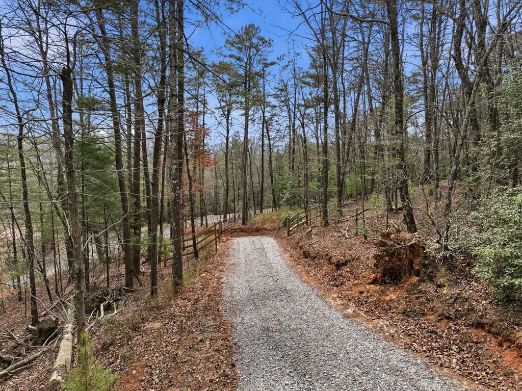 429455 Ellijay Residential