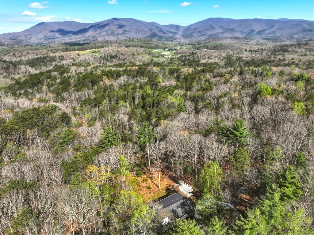 429457 Ellijay Residential