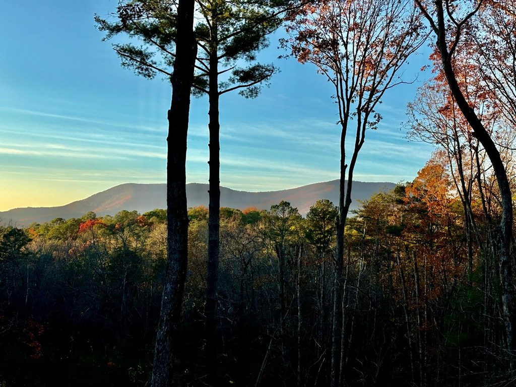 429457 Ellijay Residential