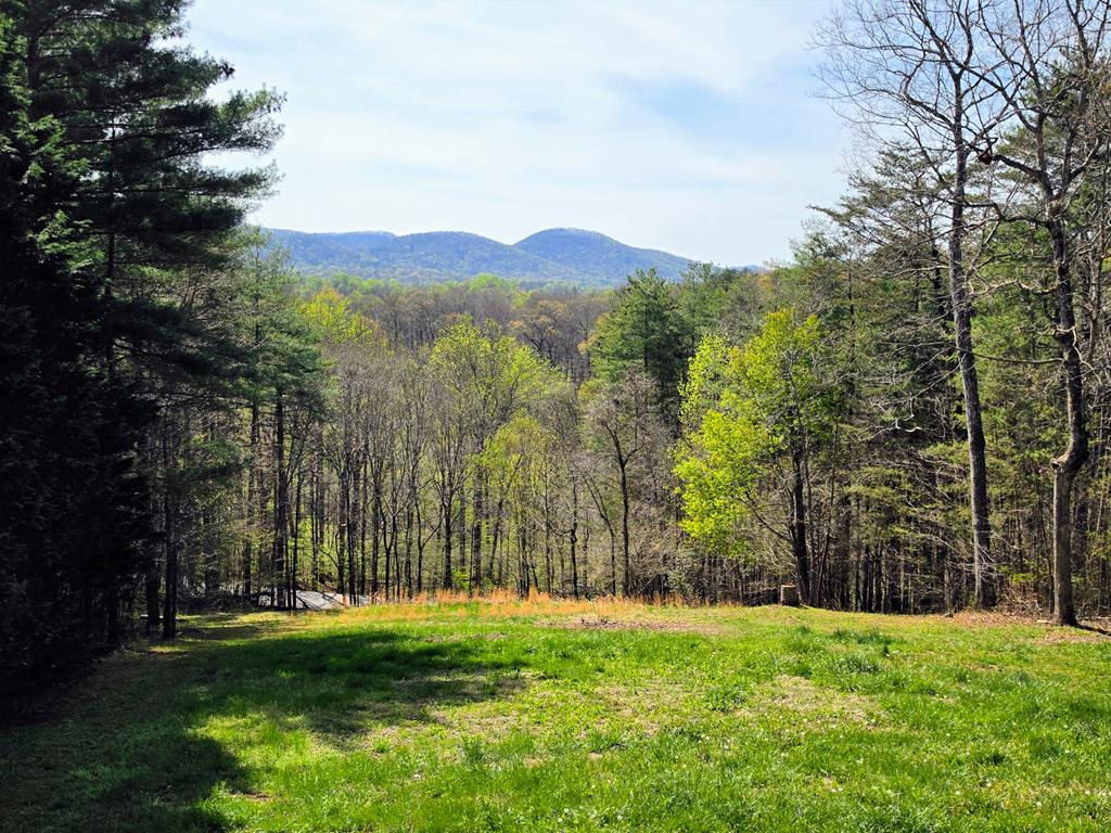 429468 Young Harris Residential