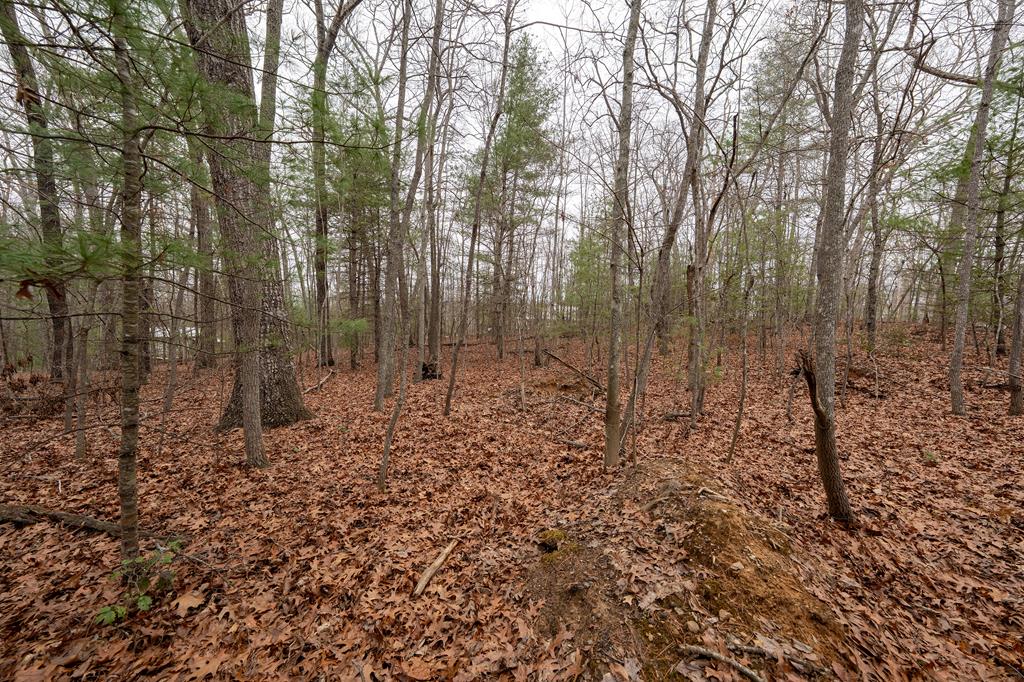 429469 Blairsville Residential