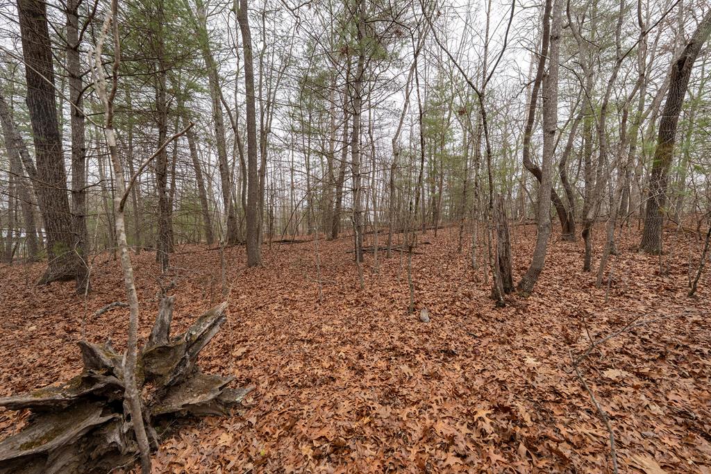 429469 Blairsville Residential