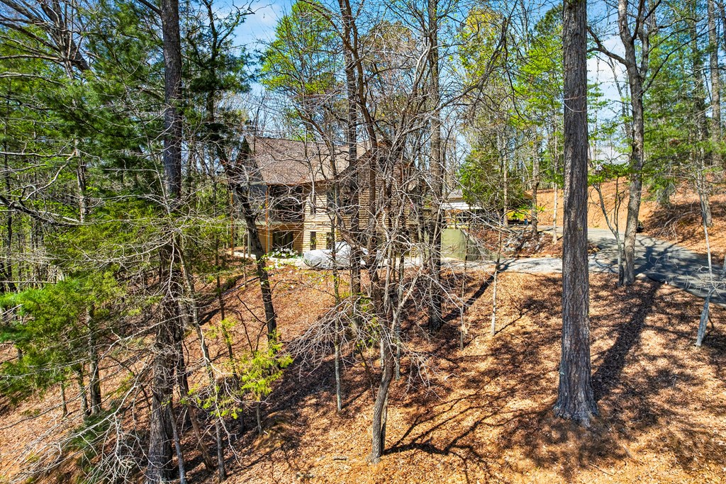 429479 Ellijay Residential