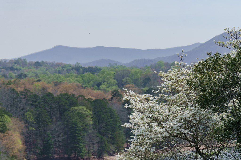 429481 Blairsville Residential