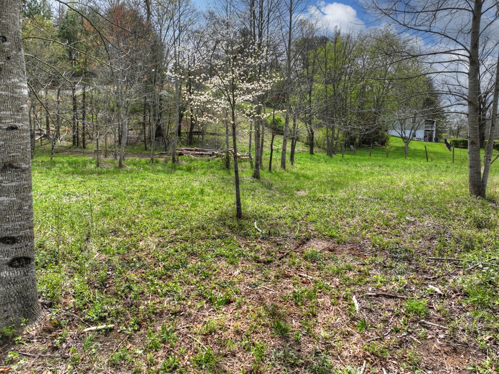 429483 Blairsville Residential