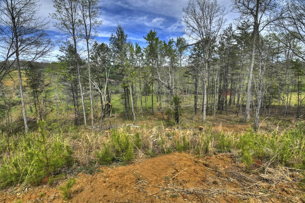 429483 Blairsville Residential