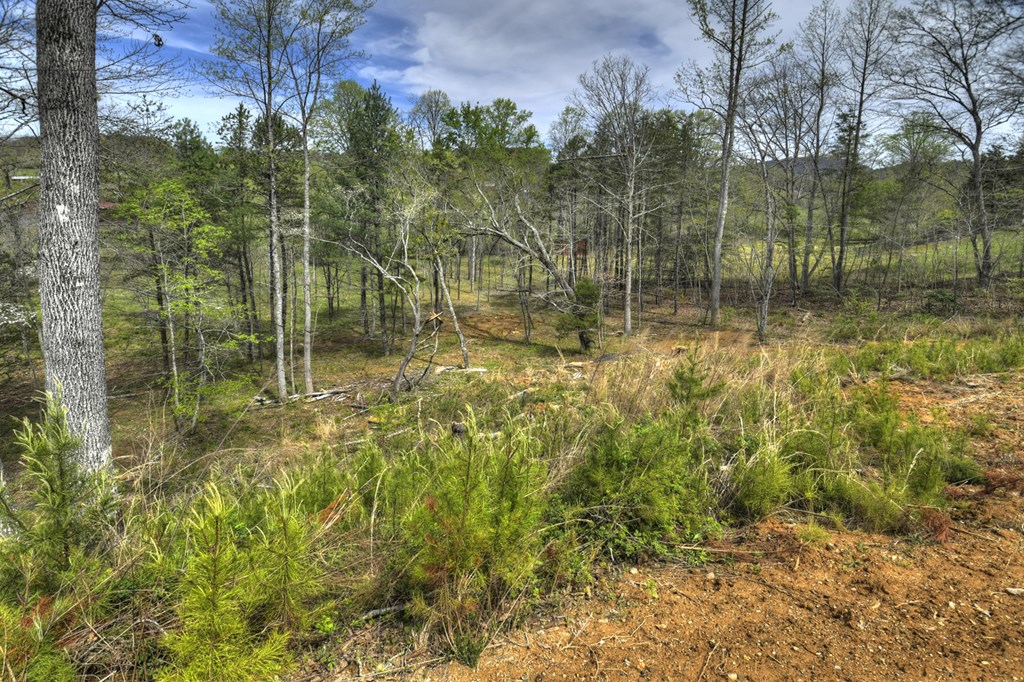 429483 Blairsville Residential