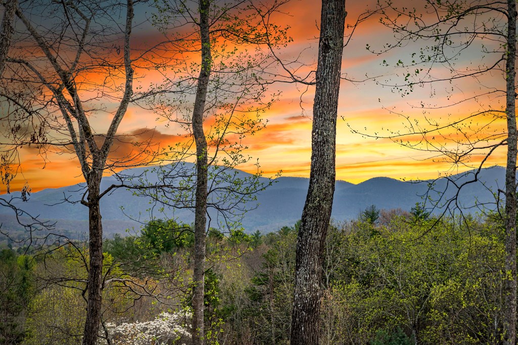 429488 Blairsville Residential