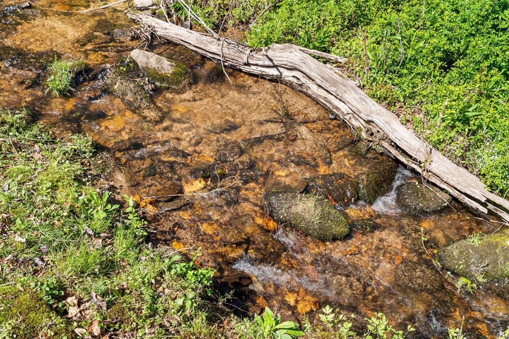 429494 Hayesville Residential