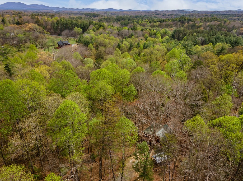 429496 Blue Ridge Residential