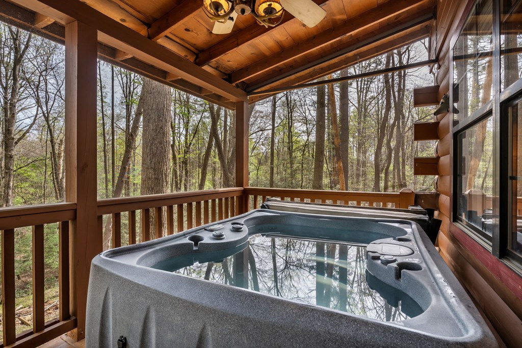 429496 Blue Ridge Residential