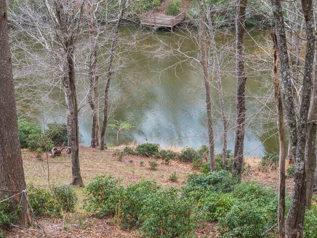 429498 Mineral Bluff Residential