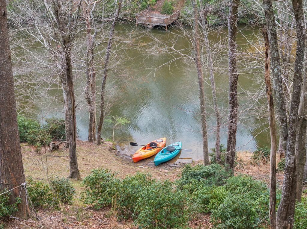 429498 Mineral Bluff Residential