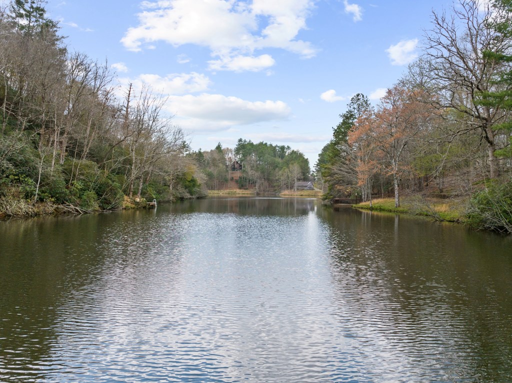 429498 Mineral Bluff Residential