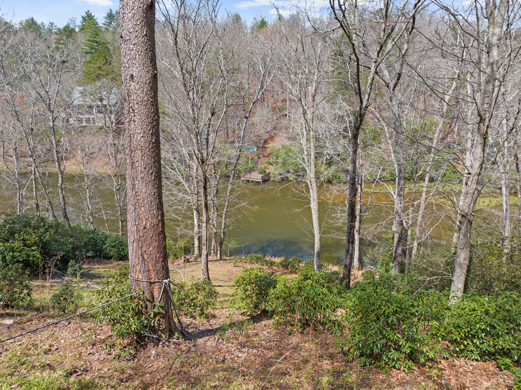 429498 Mineral Bluff Residential