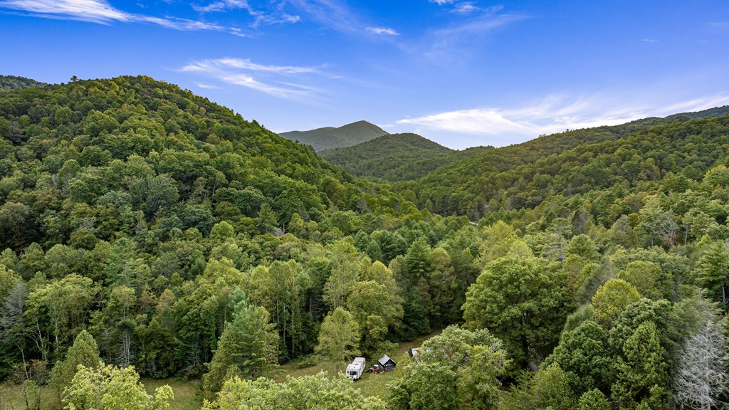 429499 Cherry Log Residential