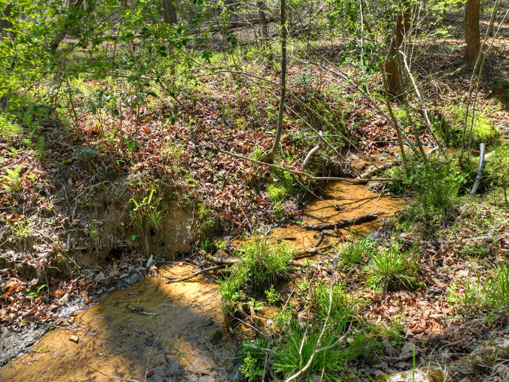 429501 Blue Ridge Residential