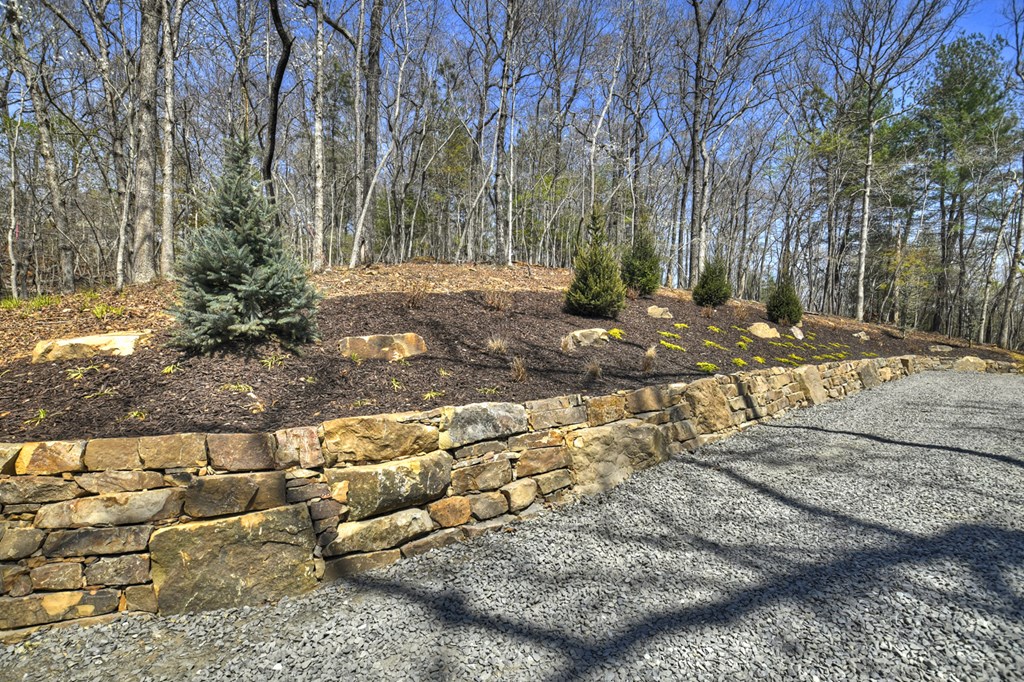 429501 Blue Ridge Residential