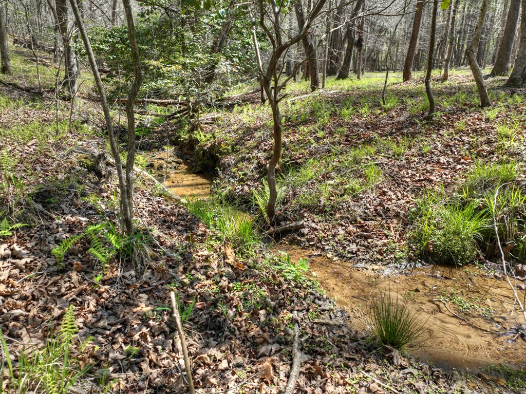 429501 Blue Ridge Residential