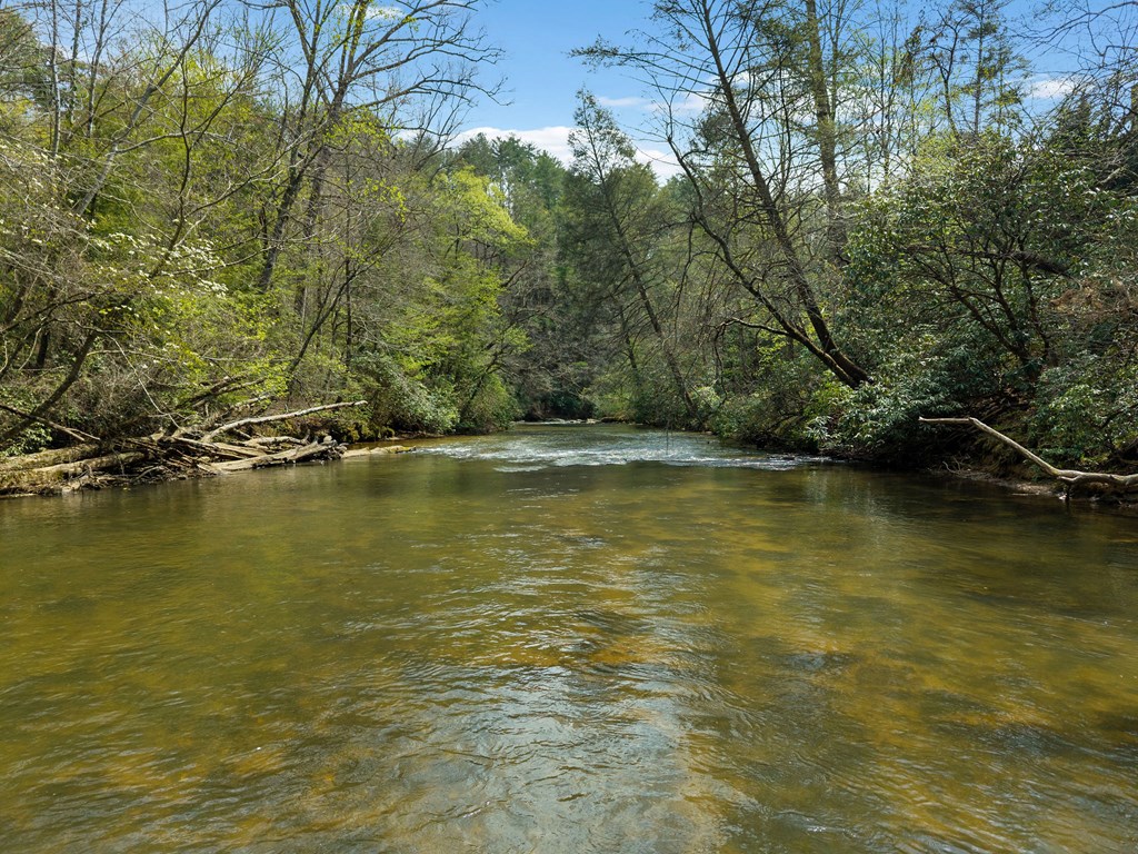 429508 Ellijay Residential