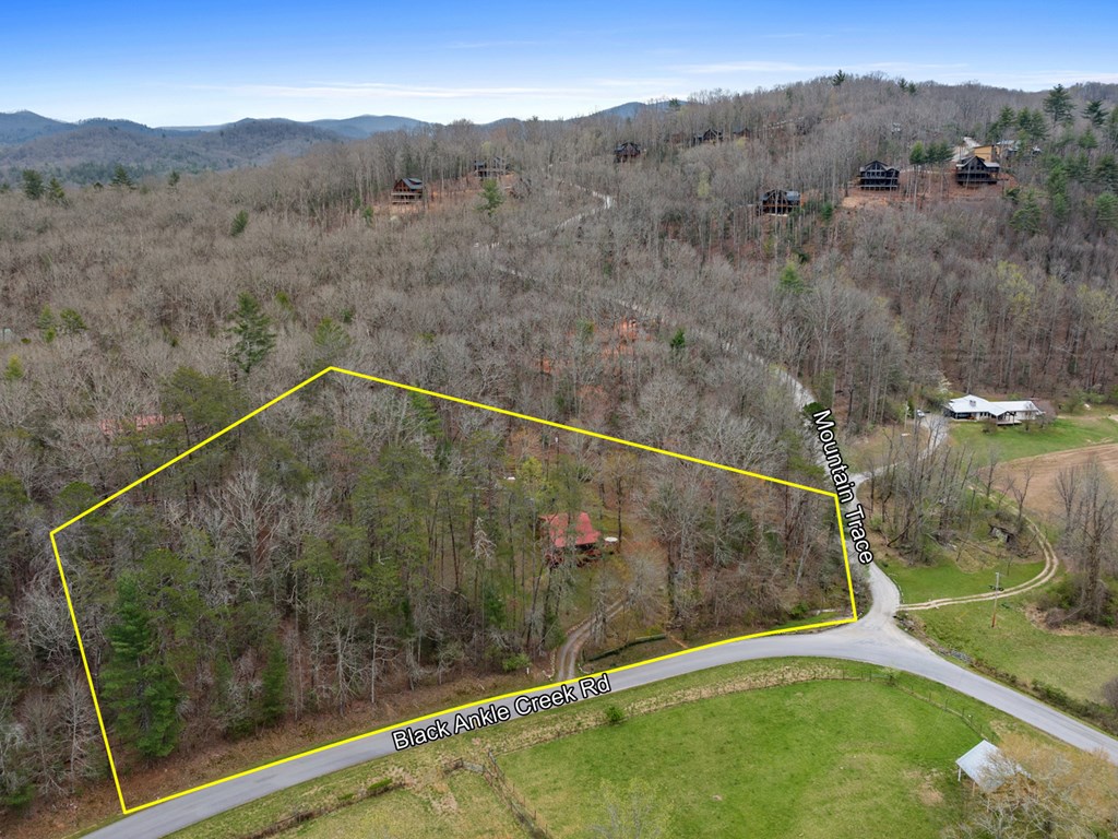 429509 Cherry Log Residential