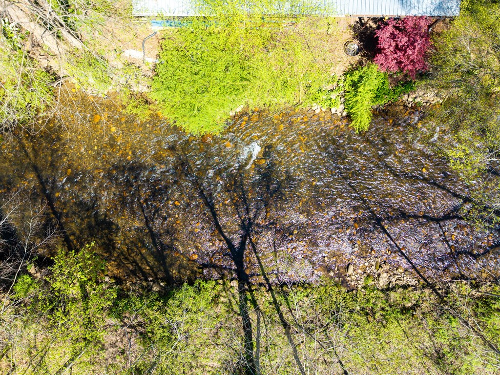 429511 Hayesville Residential